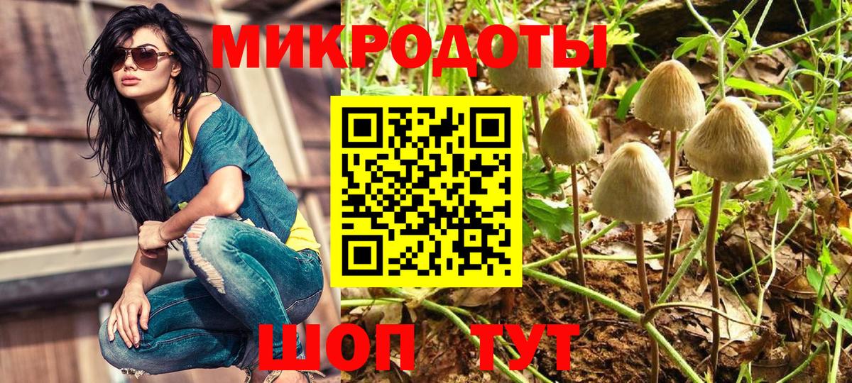 Барнаул  Псилоцибиновые грибы Psilocybe  Вход с VPN 